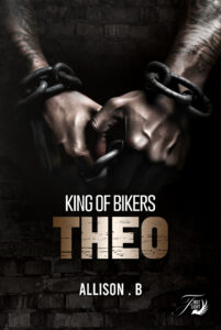 couv ebook théo